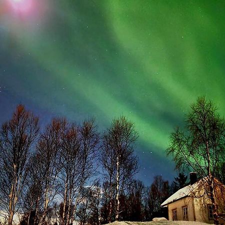 Cabin Magic On Senja, Atmosphere Like A Fairytale Villa Botnhamn Exterior foto