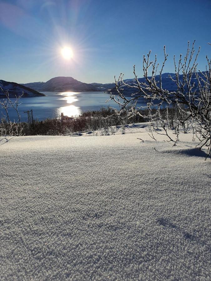 Cabin Magic On Senja, Atmosphere Like A Fairytale Villa Botnhamn Exterior foto