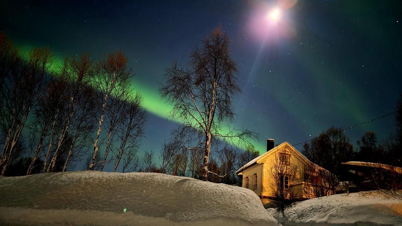 Cabin Magic On Senja, Atmosphere Like A Fairytale Villa Botnhamn Exterior foto