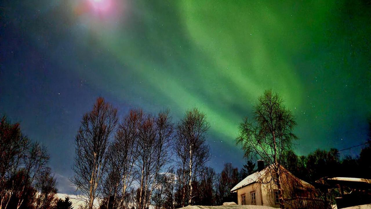 Cabin Magic On Senja, Atmosphere Like A Fairytale Villa Botnhamn Exterior foto