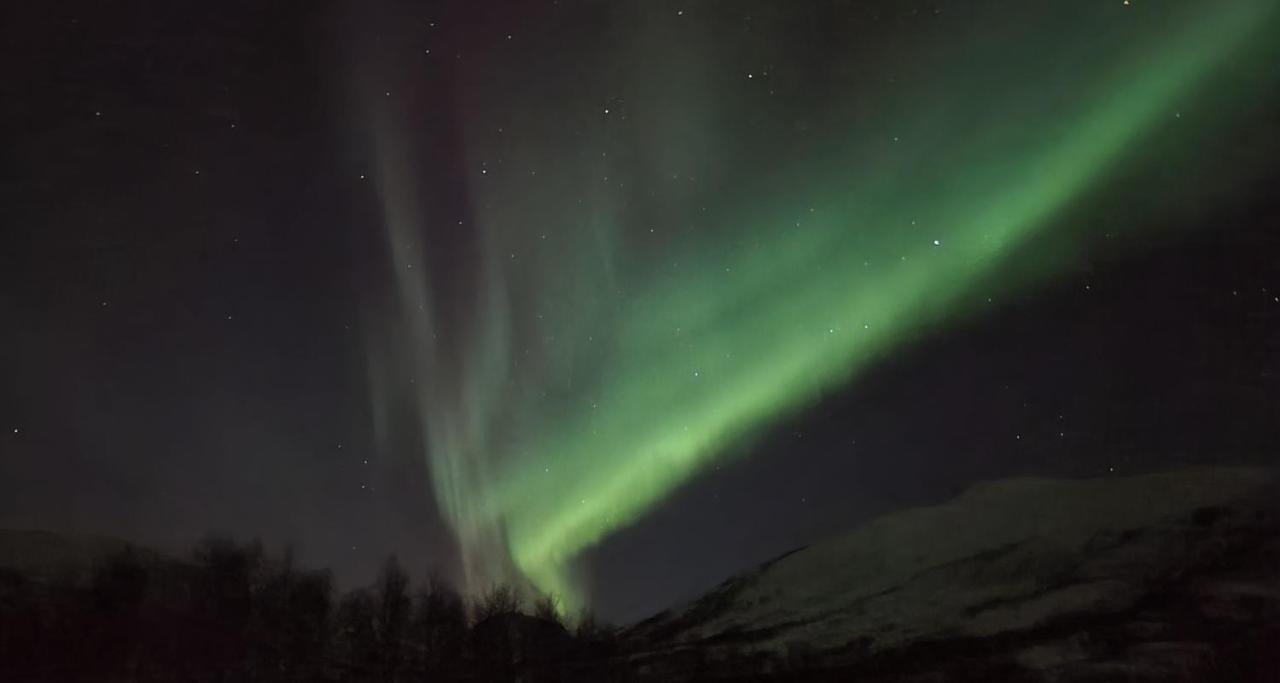 Cabin Magic On Senja, Atmosphere Like A Fairytale Villa Botnhamn Exterior foto