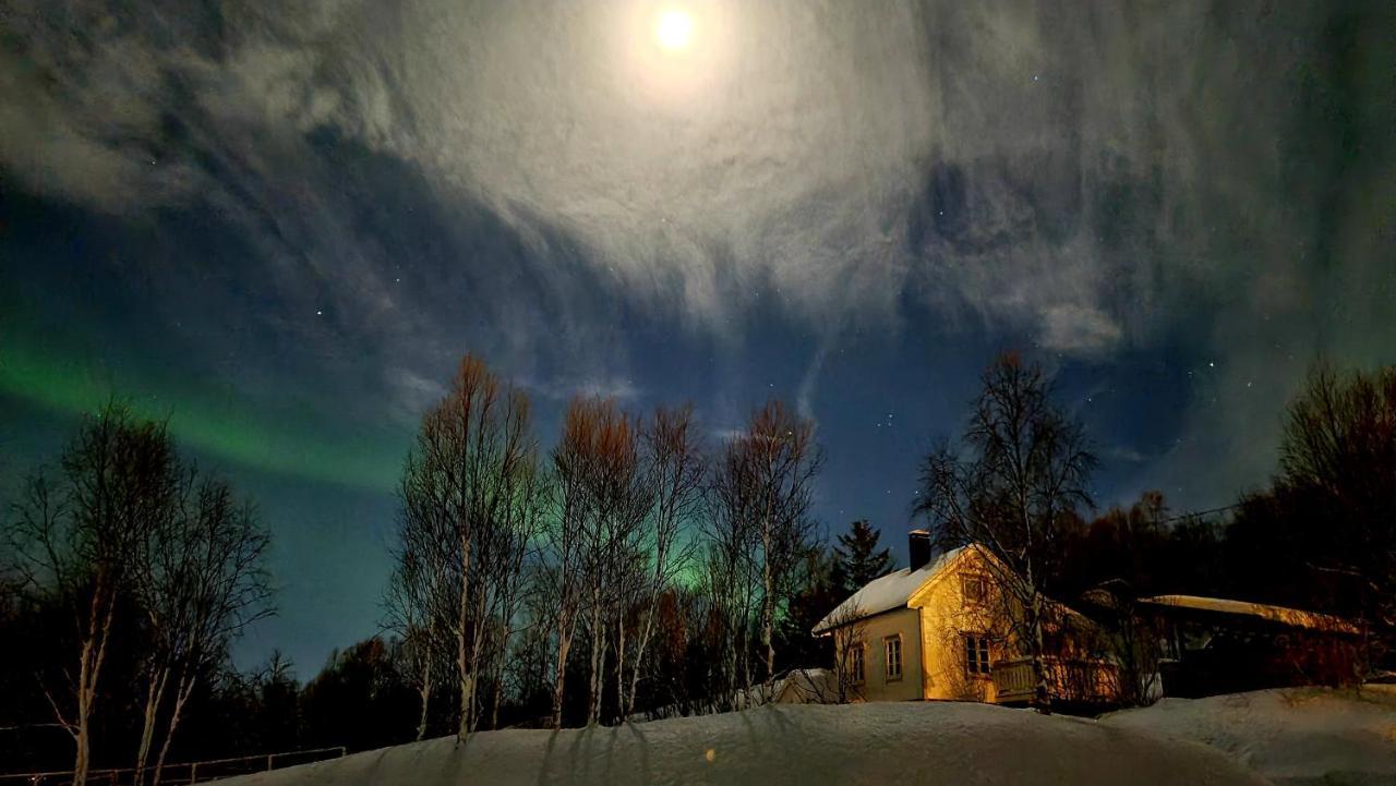 Cabin Magic On Senja, Atmosphere Like A Fairytale Villa Botnhamn Exterior foto