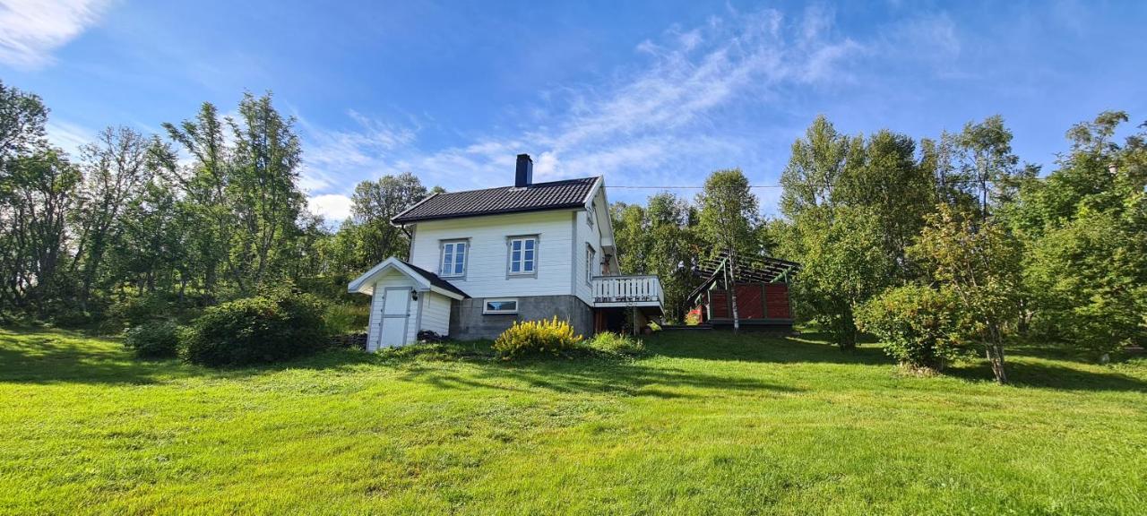 Cabin Magic On Senja, Atmosphere Like A Fairytale Villa Botnhamn Exterior foto