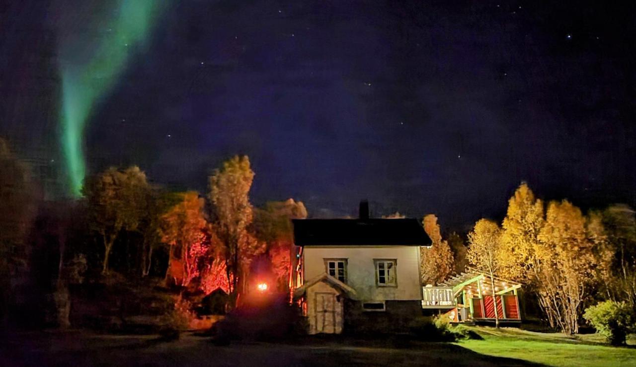 Cabin Magic On Senja, Atmosphere Like A Fairytale Villa Botnhamn Exterior foto