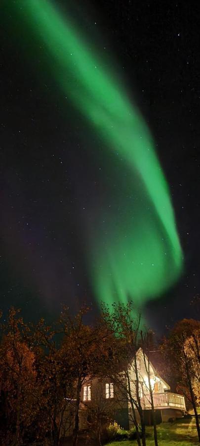 Cabin Magic On Senja, Atmosphere Like A Fairytale Villa Botnhamn Exterior foto